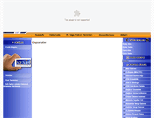 Tablet Screenshot of mehmettolgayildirim.com